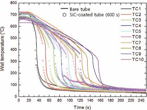 (a) SiC-coated tube (600 s) (b) SiC-coated