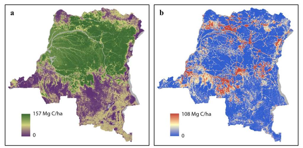 DRC Results and Discussion Forest type and strata averages, aggregated to a 5-km grid: a) year 2000 AGC; b) estimate of 2000-2010 gross AGC loss.