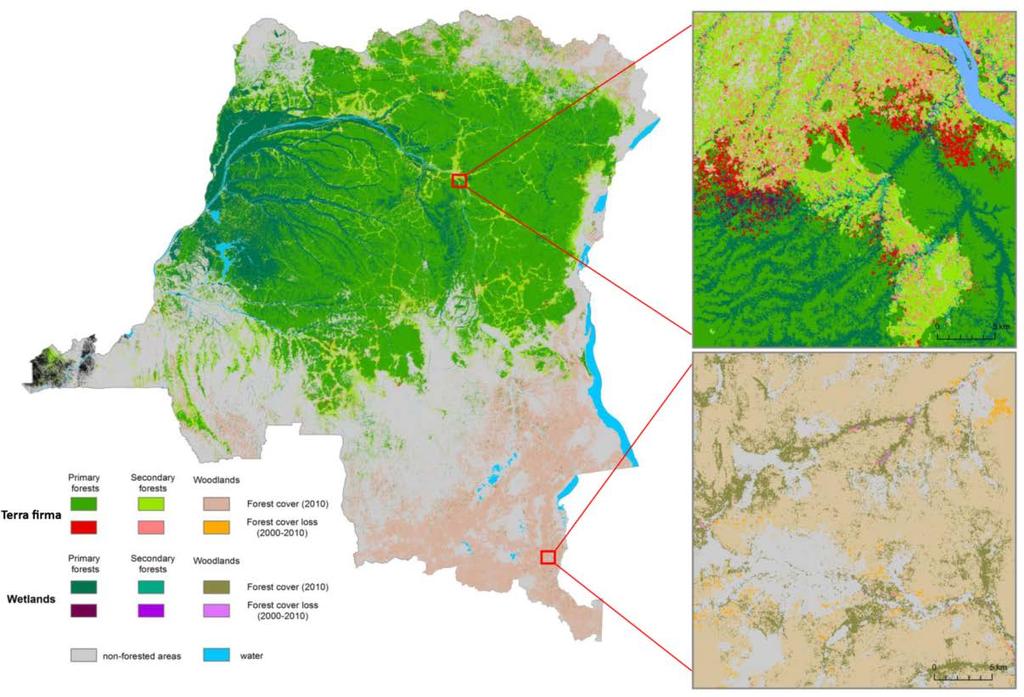DRC Activity data: forest cover and loss DRC FACET