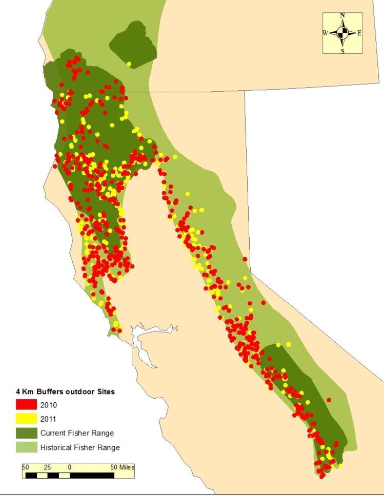 2010-2011 Trespass Marijuana Sites within the Fisher s Range ~1,100 trespass grow sites eradicated Liberally, only