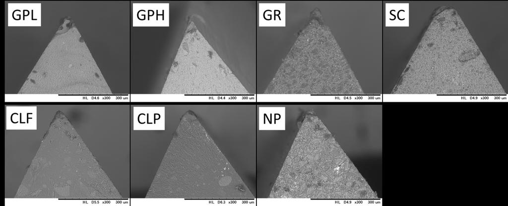 GC LAB INFO SHEET 2.16 Fig. 3 SEM micrographs of each composite resin GPL GPH GR SC CLF CLP NP Glass filler size 300nm 300nm 1µm 0.