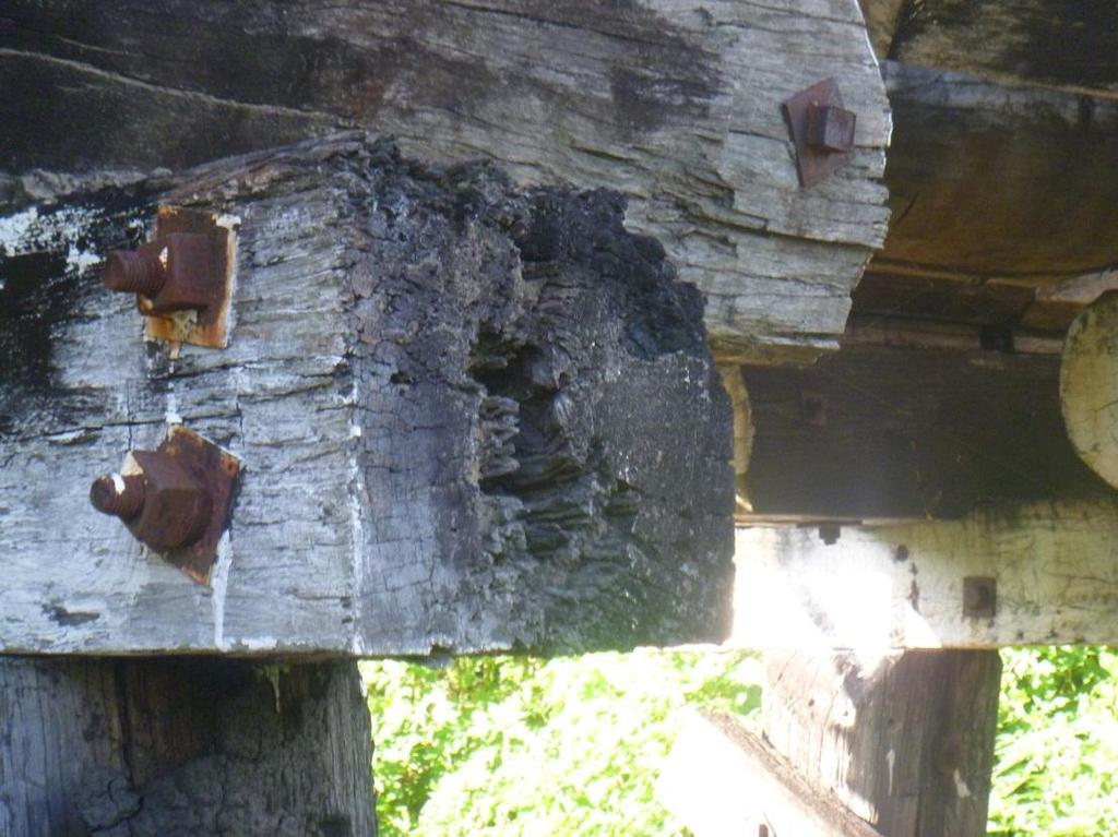 It was recommended that all timber components be treated with an anti-rot product to prevent further fungal attack.