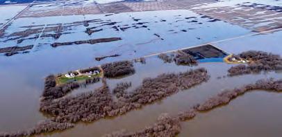 Ongoing support available for flood recovery To contact the flood recovery team in your region: Provincial Team Leader Darlene Oshanski call 204-945-3901 or 204-803-8054 (cell) in Winnipeg; or email: