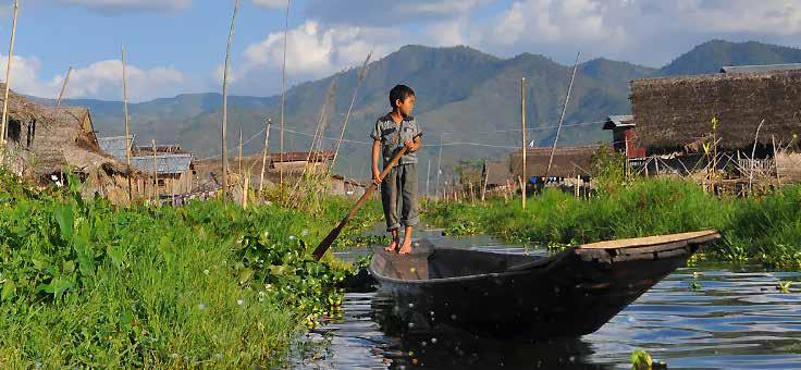 In Focus Fig 1. Young Intha on Inle Lake. Decline in the traditional and unique mode of Intha fishing, in which Intha men use only one leg to row the boat, is partly due to lake pollution.