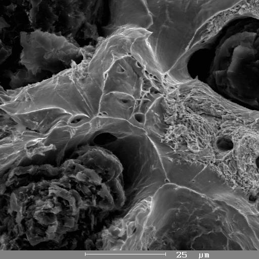 Two interesting selected images taken at the scanning electron microscope are here reported in Fig. 3.
