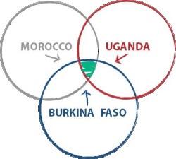 Water Accounting COMPARATIVE ANALYSIS BURKINA FASO MOROCCO UGANDA Water supply and demand Predominantly rain-fed; The percentage of renewable water resources withdrawn is 10.