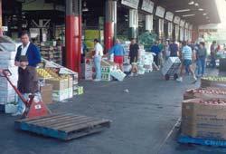 Handling at Destination Wholesale Wholesale markets Distribution Centers