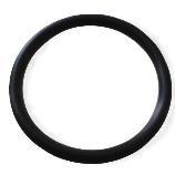 Accessorries 24T0385 O-ring for test cylinder (14T0100) 31T0010