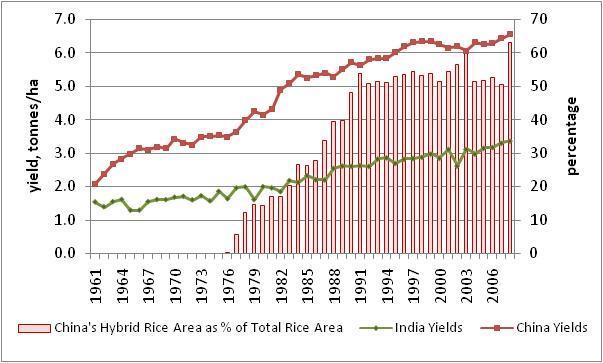 Impact of Hybrid Rice Varieties on Yields Source: FAOSTAT & Li, Xin & Yuan