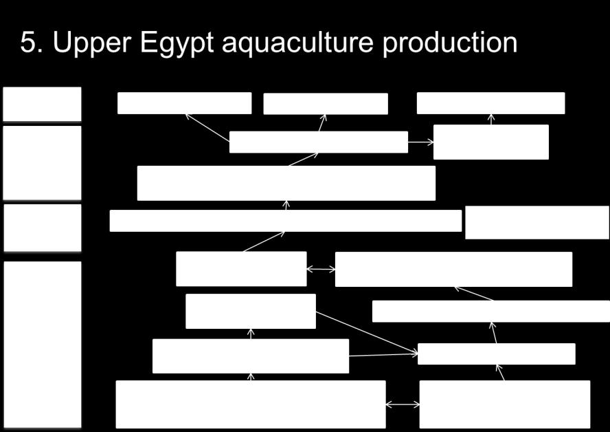 Upper Egypt aquaculture production Developing aquaculture production in Upper Egypt is also a pilot-scale activity testing approaches that could be applied more widely in other non-aquaculture