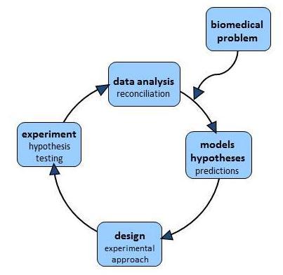 Question 1 - (25p) Discuss central elements of the functional genomics/systems biology research process and how it is applied. a) Explain each of the four steps in the cycle.