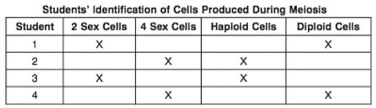 27. Which student has selected the appropriate descriptions for the cells produced during meiosis? A. student 1 B. student 2 C. student 3 D. student 4 28.
