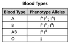 Intermediate inheritance D. Traits passed between the sex chromosomes. 34. Red blood cells are classified as type A or type B, based on their surface antigens.