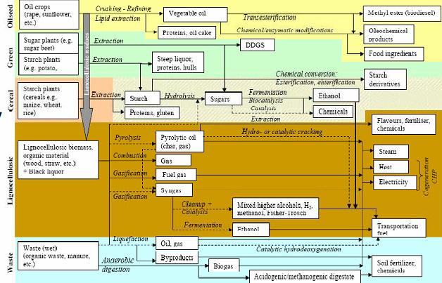 Biorefinery Concepts in