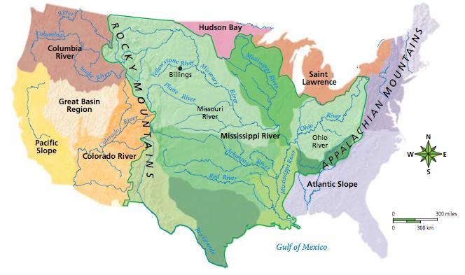 Lesson 14.1 Earth: The Water Planet Surface Water Surface water includes still bodies of waters and river systems. Watersheds of the U.S. Did You Know?