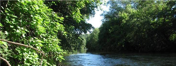 7.3 Little Tallapoosa River
