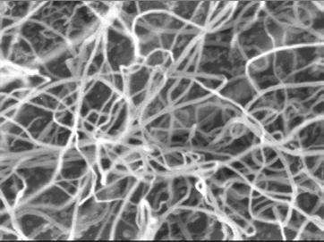 Carbon Nanotubes as Via Material in IC CNT growth with