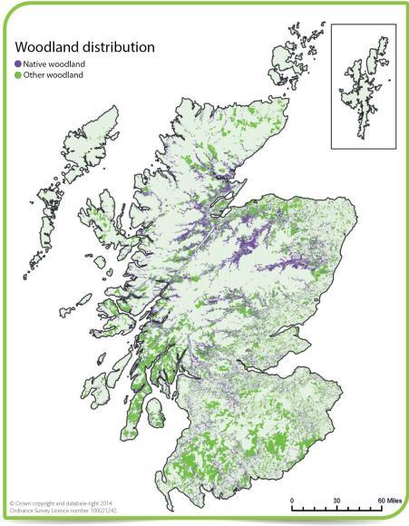Scotland Public attitudes to sustainable forestry Q-method applied; studied respondents opinion to the integration of more woodlands in rural landscapes; public priorities and of factors that can