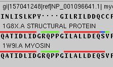 An exception to the no-insertions-in-helix rule Actual structures (myosin)!