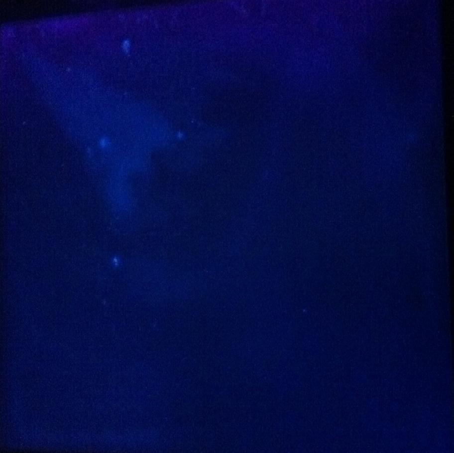Upon drying of the contaminated stainless steel plate (right photo in Figure 3) the grainy fluorescence was still visible and a drying mark (concentrated fluorescing material) was also seen at the