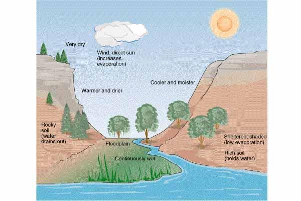 Abiotic Factors An abiotic factor is any nonliving part of the environment, such