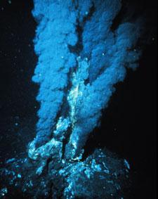 Deep-sea ecosystems depend on primary producers that harness