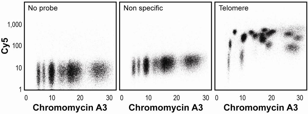 Supplementary figure 2 Hybridization specificity of PNA probes by chromosome flow FISH.