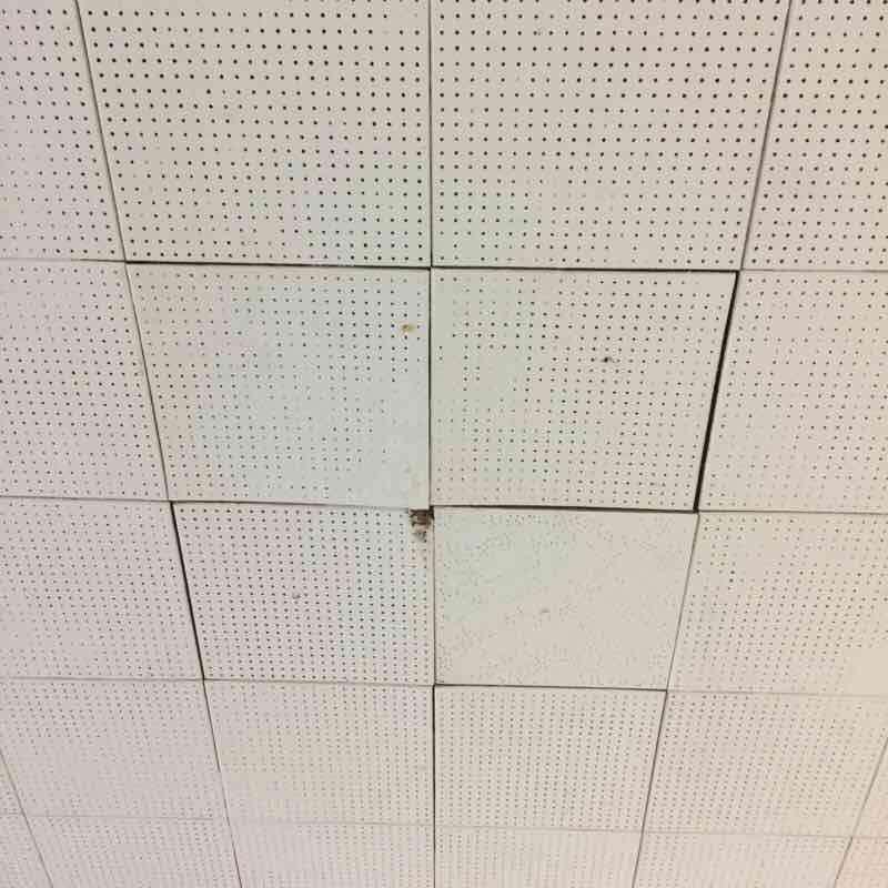 CAFETERIA Ceiling Photo1 Building Assessment Survey 2017-2018 Near Rear Entrance Door(s) Instance on 1st Floor 4 - Between Fair and Poor