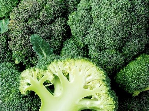 Patents EP 1211926 In 1999, Plant Bioscience Ltd, filed a patent for a method of selectively increasing the anti-carcinogenic glucosinolates of Brassica (broccoli) with the European Patent Office.