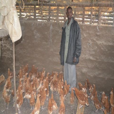 well as the construction of chicken houses.