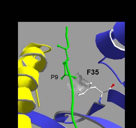 0025 High Impact AAS: Peptide Binding