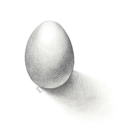 Chicken / Egg