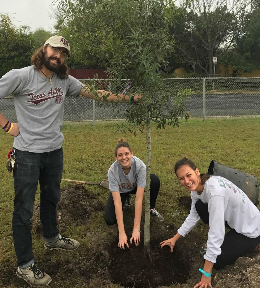 Single-Tree Plantings 2017-18 TreeFolks Container Tree Plantings (AISD) 58 individual 5 gallon trees CO2 t Cost In the Year After Planting