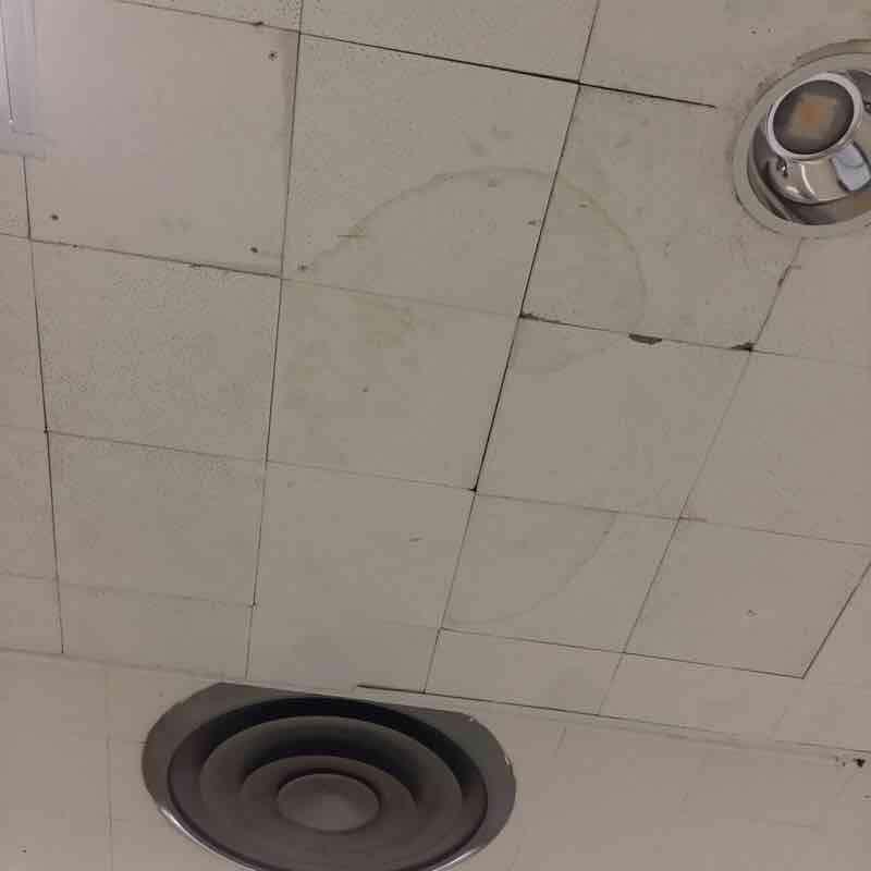 Building Assessment Survey 2017-2018 CAFETERIA Ceiling Urgency of Action PRIORITY 5 Photo1