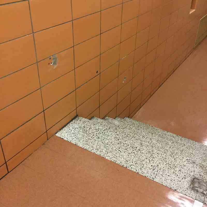 Building Assessment Survey 2017-2018 SCIENCE PREP ROOM Fixed Equipment SHOWER ROOM Alternative use Yes Ceiling Door(s) Floor Finish Walls STAIRS/RAMPS: Do Letter Stair Signs Exist?