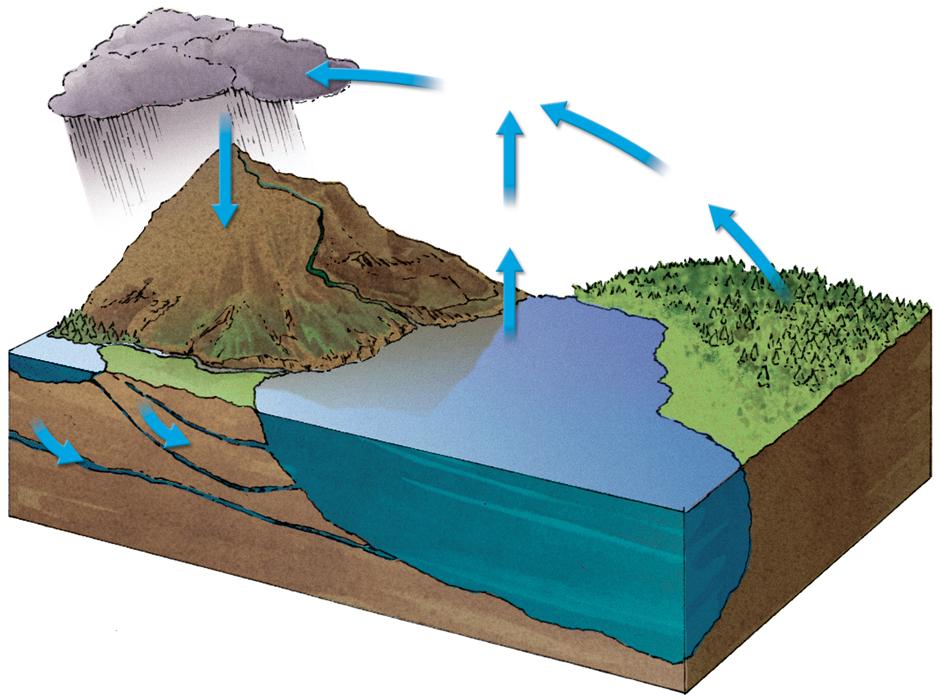 Water cycles through the environment. The hydrologic, or water, cycle is the circular pathway of water on Earth.
