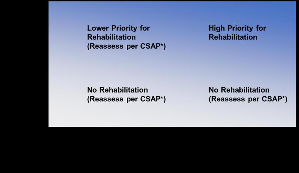 frequencies given in the CSAP, to determine if the condition has deteriorated to the point that the asset would be moved into a higher priority rehabilitation category under the IR Program.