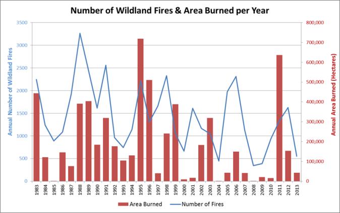 Introduction Wildland fire is an important natural disturbance in Ontario s forests and grasslands. Fire renews the forest, creates healthy natural habitat, and provides diverse landscapes.