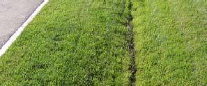 Polluted runoff from Lawns, parks & roadsides ROWs Nutrients: Pathogens: