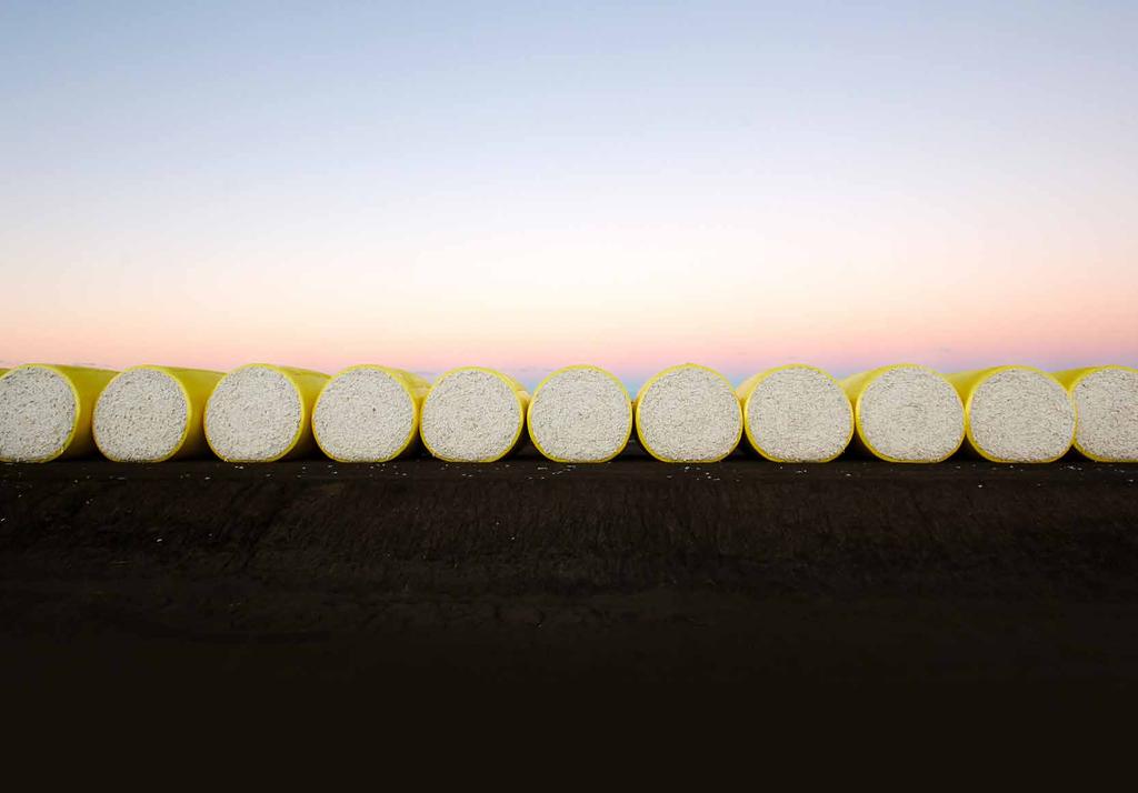 Welcome to the 2016 Cotton Australia Cotton Annual Cotton Australia annually collates data for key areas affecting cotton production in Australia: crop size, area, forecasts, yield, quality, price,