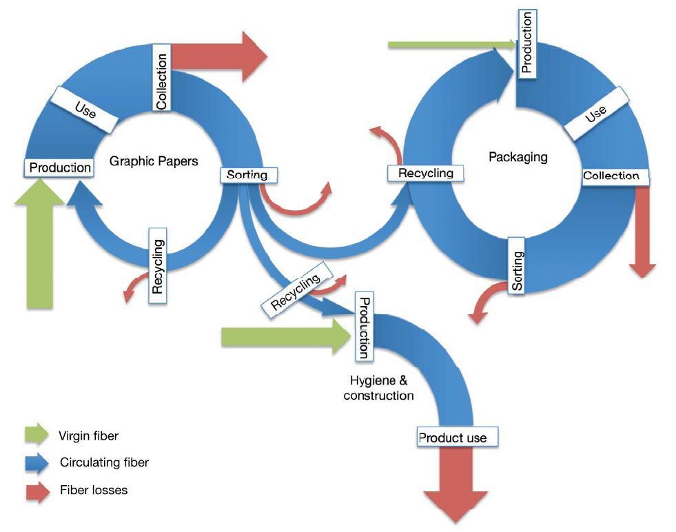 Example 2: France National level 3 paper grades with two grades to be recycled (Graphic Papers, Packaging) and one not recycled (Tissue) Process steps: production, consumption, collection & sorting
