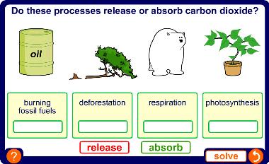 The carbon sink 18 of