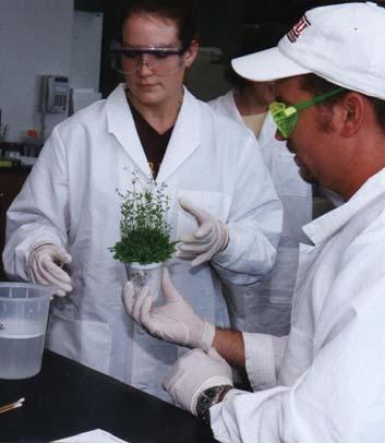 Workshop Dates: June 26-30, 2006 Biotechnology for Plants, Animals and the Environment North Carolina State University This workshop will focus on the applications of biotechnology in agriculture and