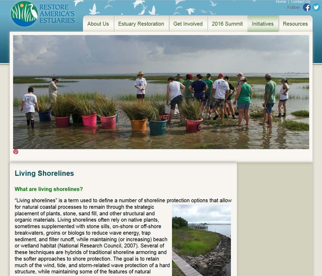 Restore America s Estuaries Living Recent report: Living Shorelines: From Barriers to Opportunities Four Strategies: 1) Education