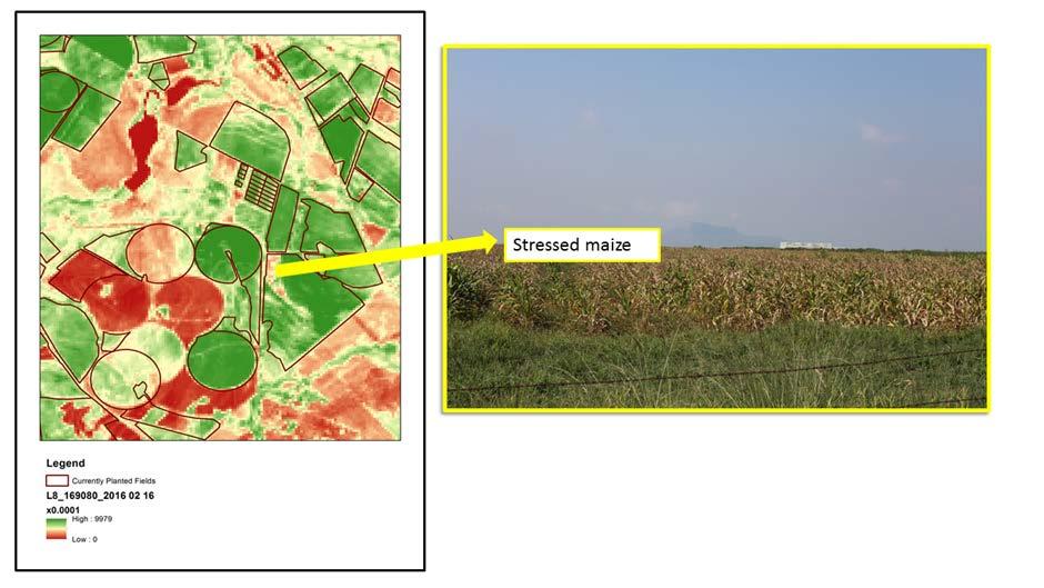 Visualizing Crop Stress and