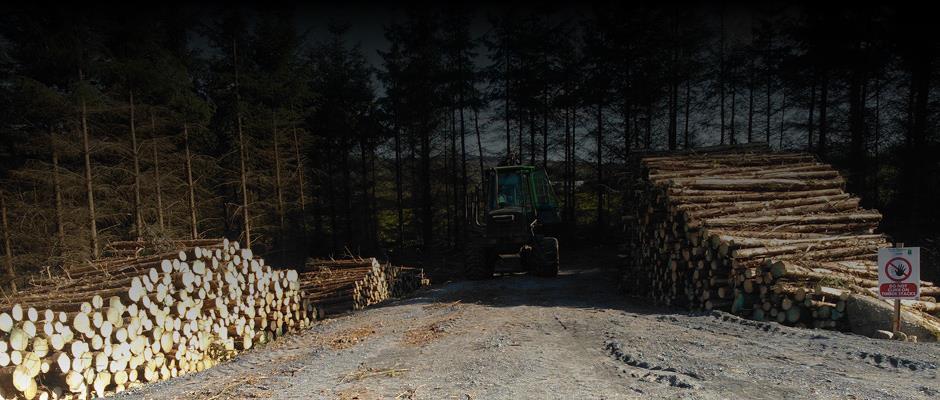 Course Overview The Forest Machine Operator Training Programme has been designed to develop a broad-based employment focused competence in timber harvesting operations.