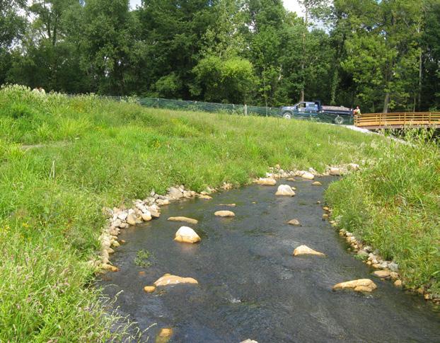This was achieved by installing a steel sheet pile weir structure to replace the failing earthen berm, filling the existing pond, grading a new stream channel, and restoring riverine and wetland