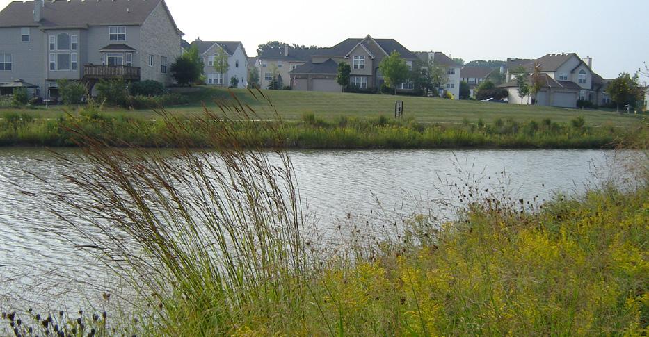 Glenview, Illinois: Stewardship Landings at the Glen Client: Acres Group Stewardship Completion: Initial Restoration 2007, Stewardship is ongoing Project budget:
