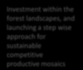 resources, including results-based incentives for REDD+ and sustainable management of forests through direct investments and a dedicated financing line Country Catalytic replication (5-10 years)
