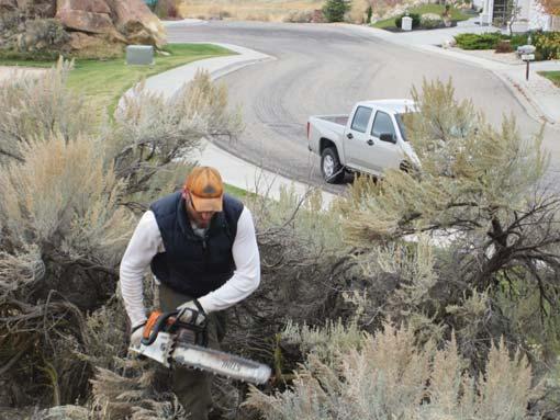 Southwest Idaho Resource Conservation and Development worked with Boise City, BLM, Ada County, Forest Management LLC, and the neighborhood associations, to provide the means for additional hazardous